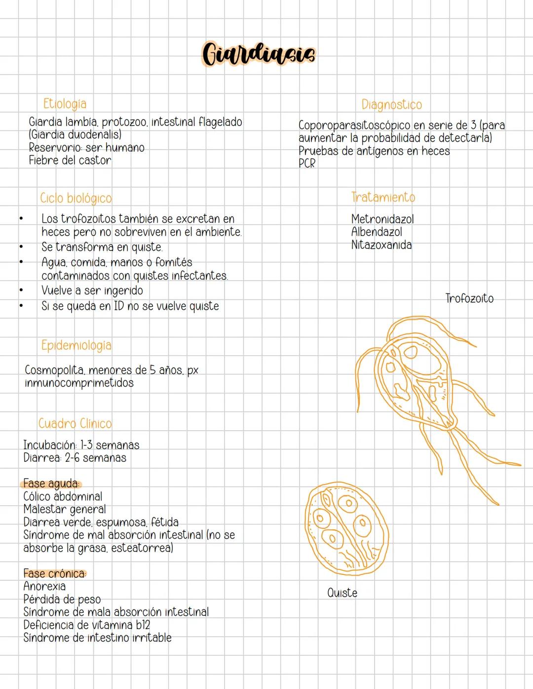 Giardiasis
Etiologia
Giardia lambía, protozoo, intestinal flagelado
(Giardia duodenalis)
Reservorio ser humano
Fiebre del castor
Ciclo bio