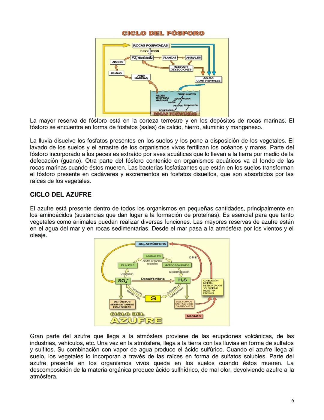 "pierden" aunque pueden llegar a sitios donde resultan inaccesibles para los organismos por un largo
período. Sin embargo, casi siempre la m