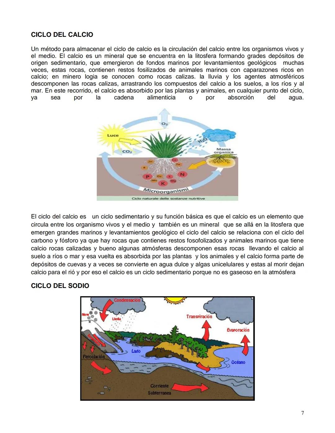 "pierden" aunque pueden llegar a sitios donde resultan inaccesibles para los organismos por un largo
período. Sin embargo, casi siempre la m