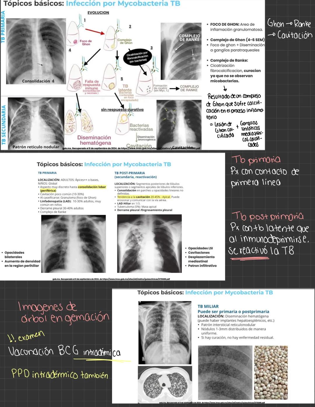 Entregar expos 48hrs antes
Temas del 1° Parcial
* Arotomía y fisiologio
* Semiología respiratoria
* Sx pleuropulmonares
* Bronquiti
