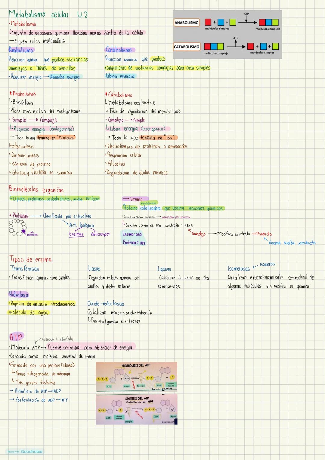 # Metabolismo celular U.2
- Metabolismo
Conjunto de reacciones qumicas llevadas acabo dentro de la célula
-Siguen rutas metabolicas
Anabolis
