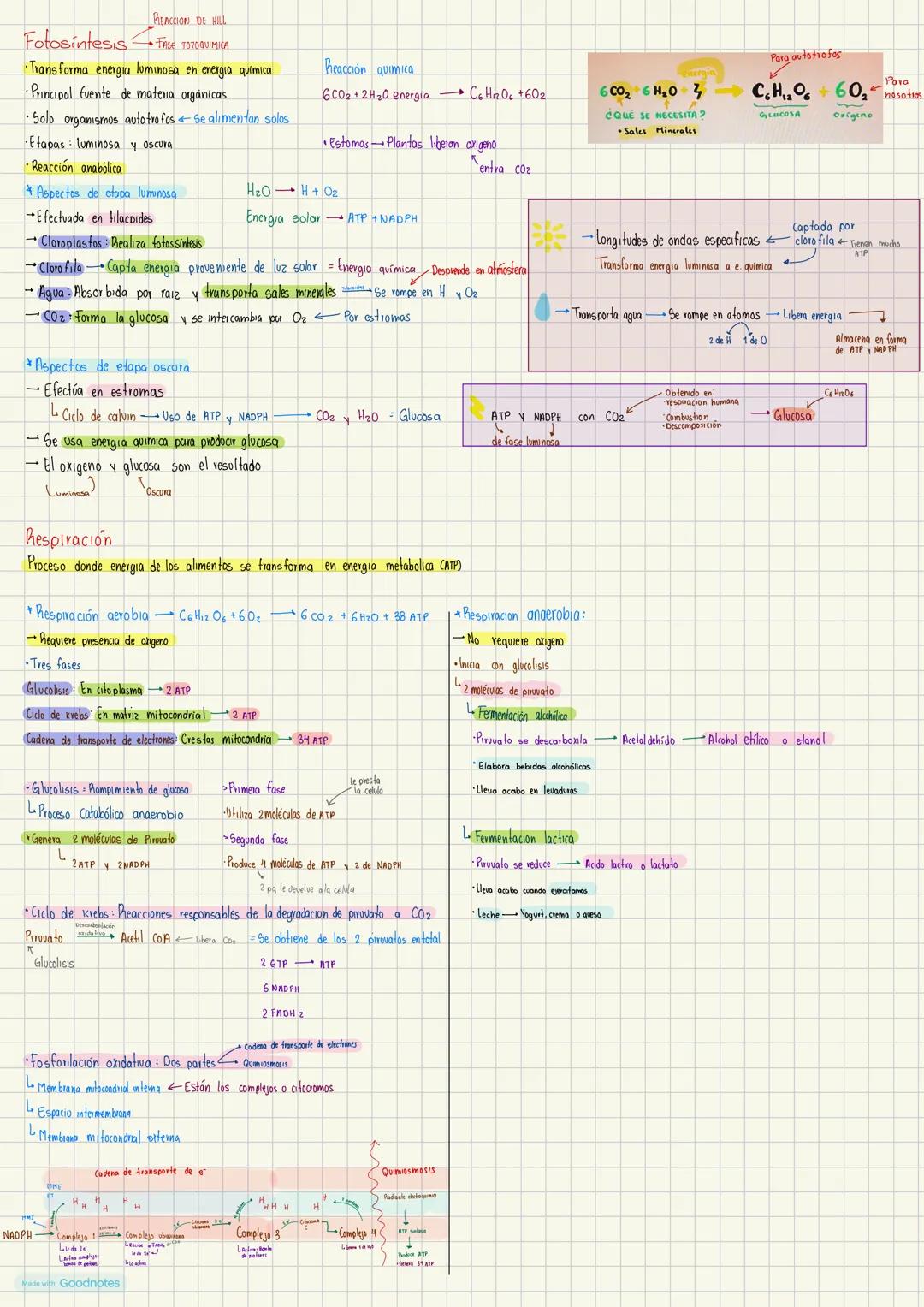 # Metabolismo celular U.2
- Metabolismo
Conjunto de reacciones qumicas llevadas acabo dentro de la célula
-Siguen rutas metabolicas
Anabolis