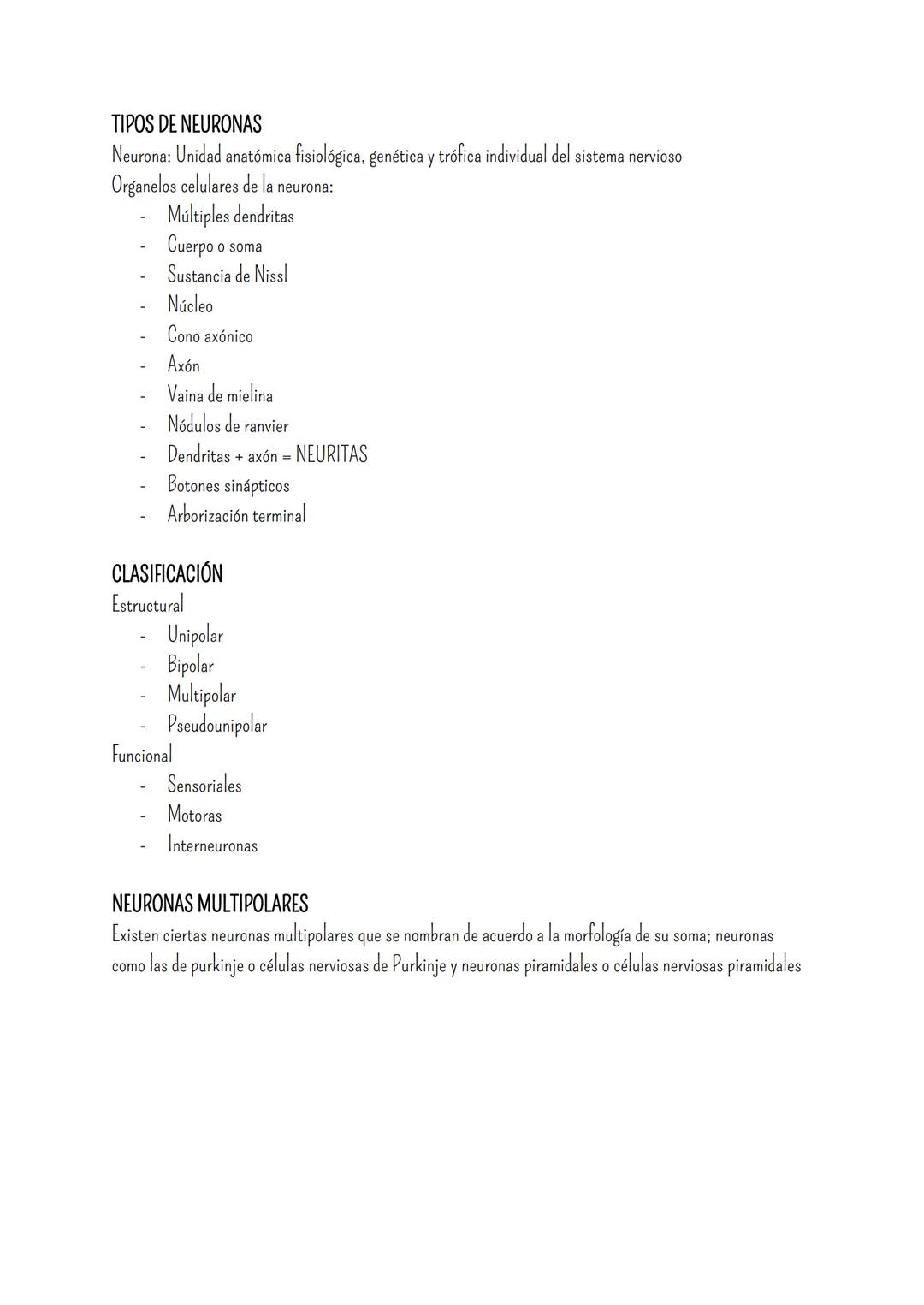 # SISTEMA NERVIOSO
- Es el dispositivo de computación más complejo y refinado que existe
- Recibe e interpreta una inmensa gama de informac