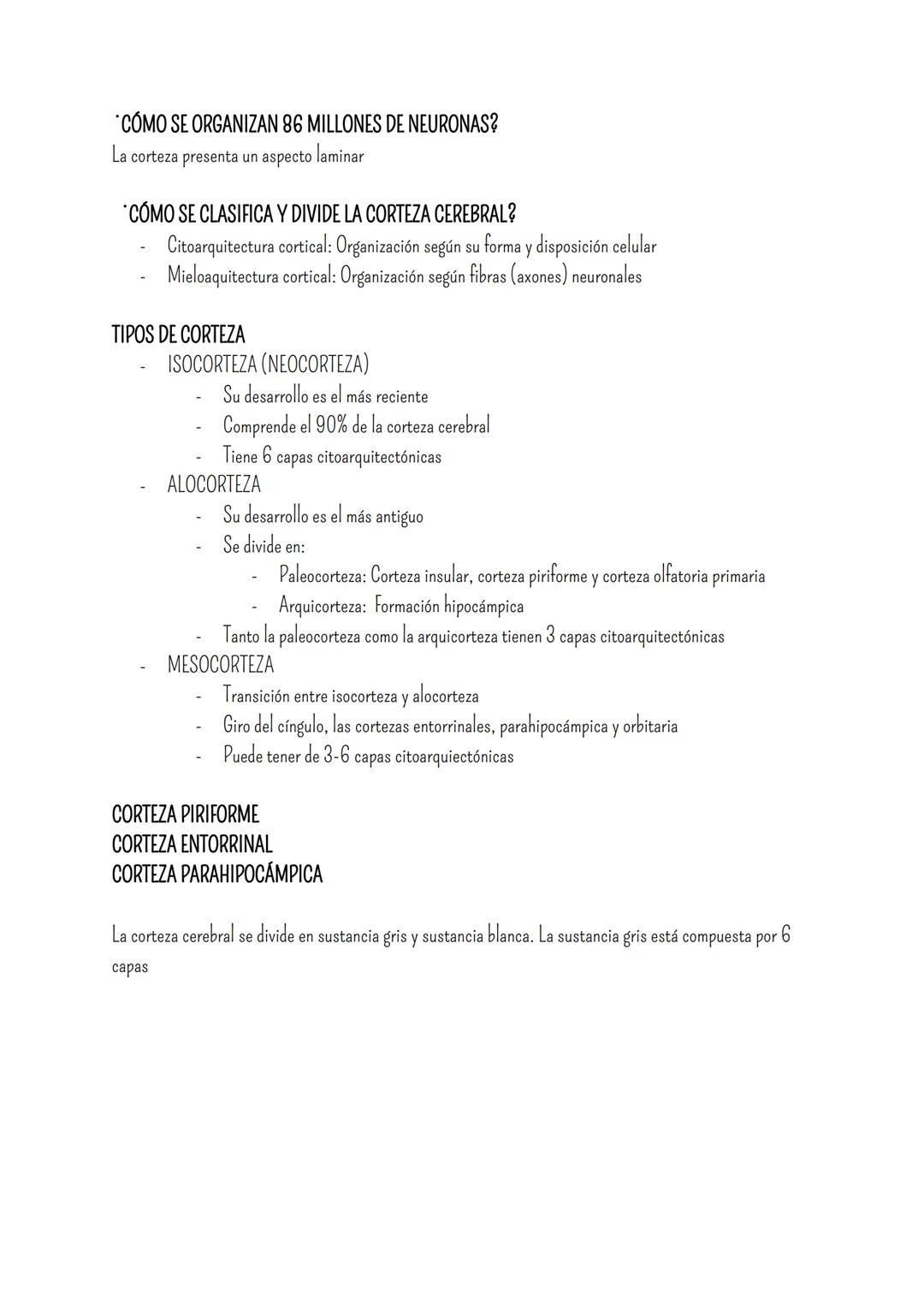 # SISTEMA NERVIOSO
- Es el dispositivo de computación más complejo y refinado que existe
- Recibe e interpreta una inmensa gama de informac
