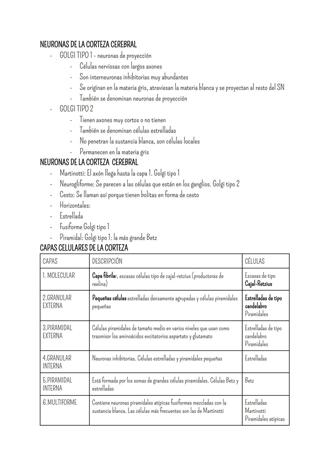 # SISTEMA NERVIOSO
- Es el dispositivo de computación más complejo y refinado que existe
- Recibe e interpreta una inmensa gama de informac