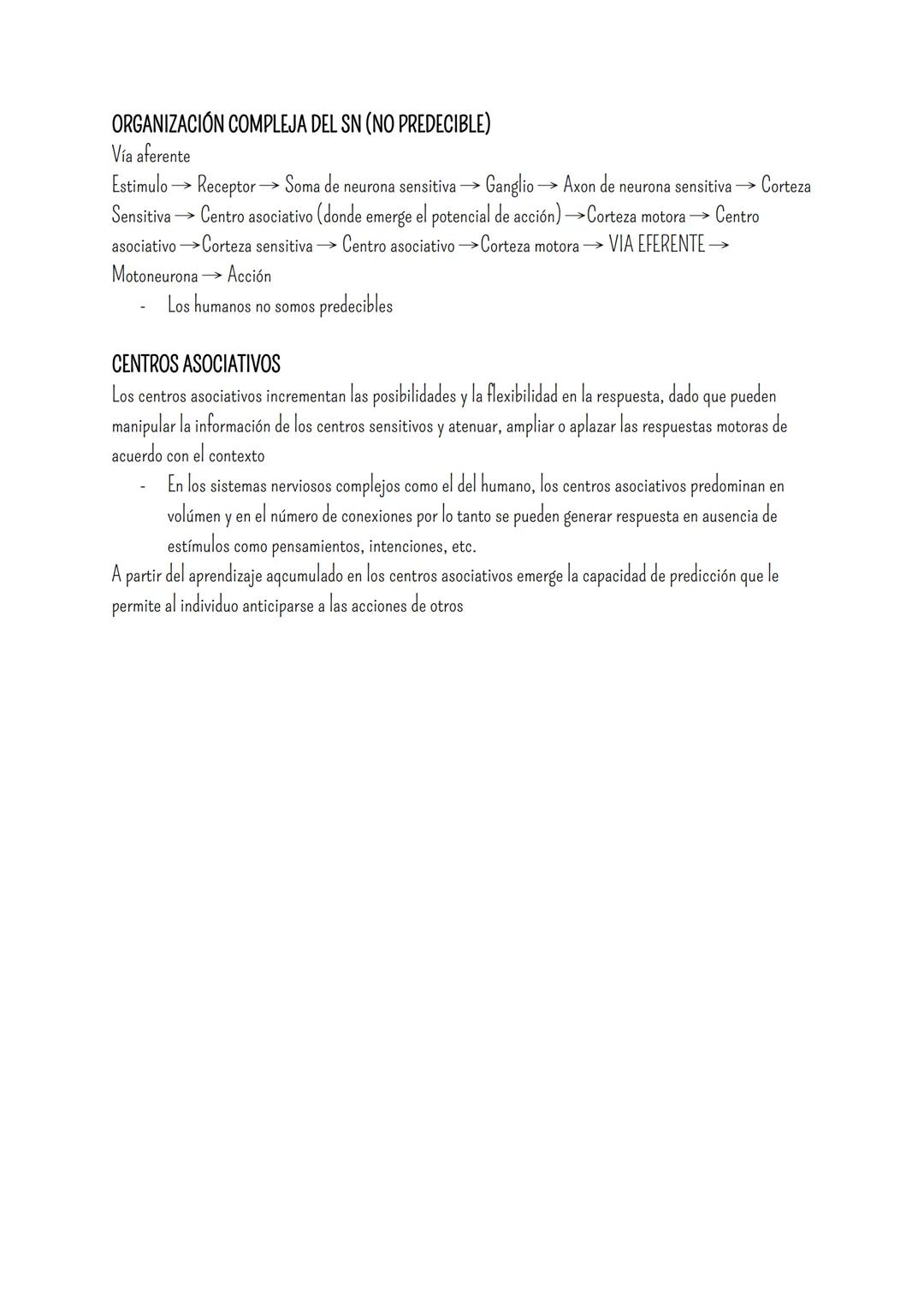 # SISTEMA NERVIOSO
- Es el dispositivo de computación más complejo y refinado que existe
- Recibe e interpreta una inmensa gama de informac