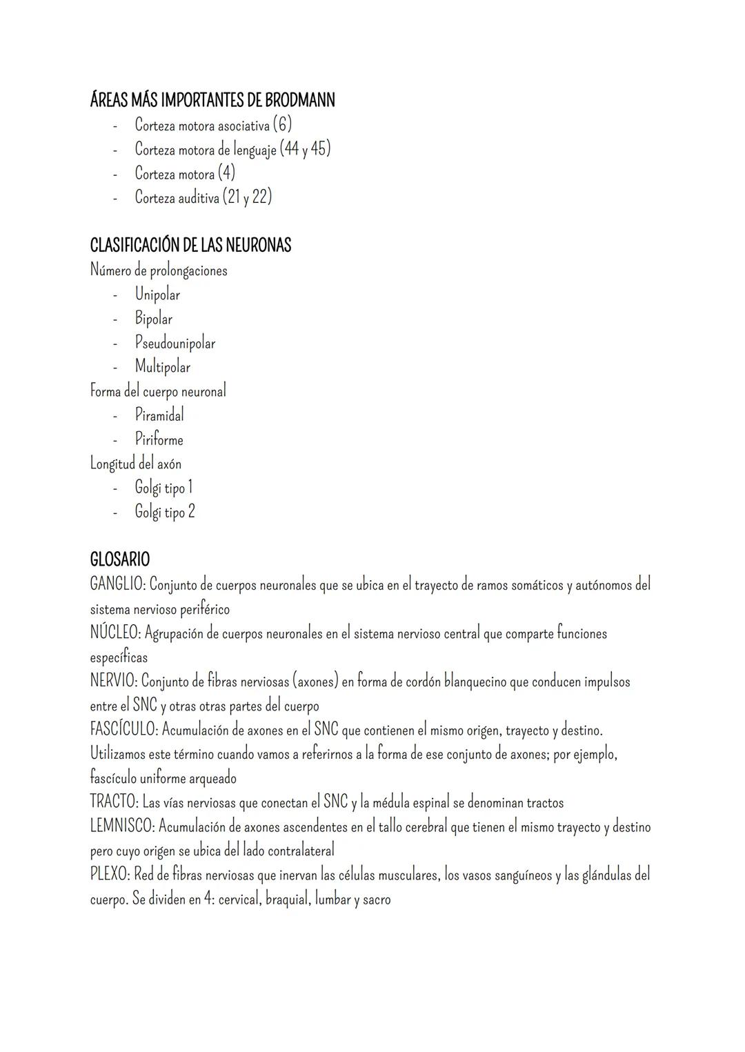 # SISTEMA NERVIOSO
- Es el dispositivo de computación más complejo y refinado que existe
- Recibe e interpreta una inmensa gama de informac
