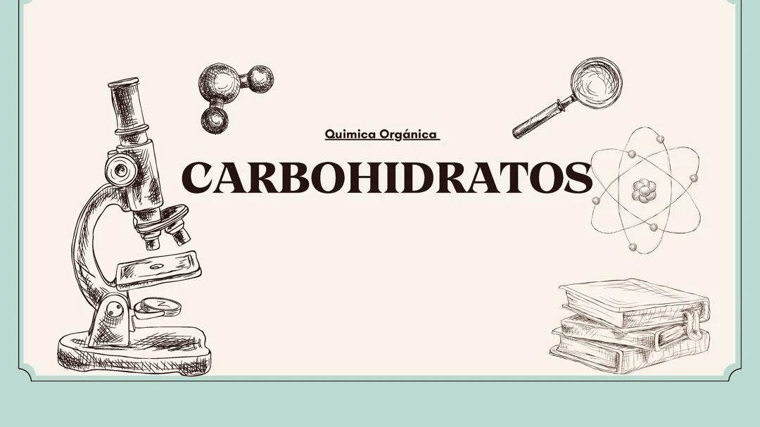 Guía básica de carbohidratos