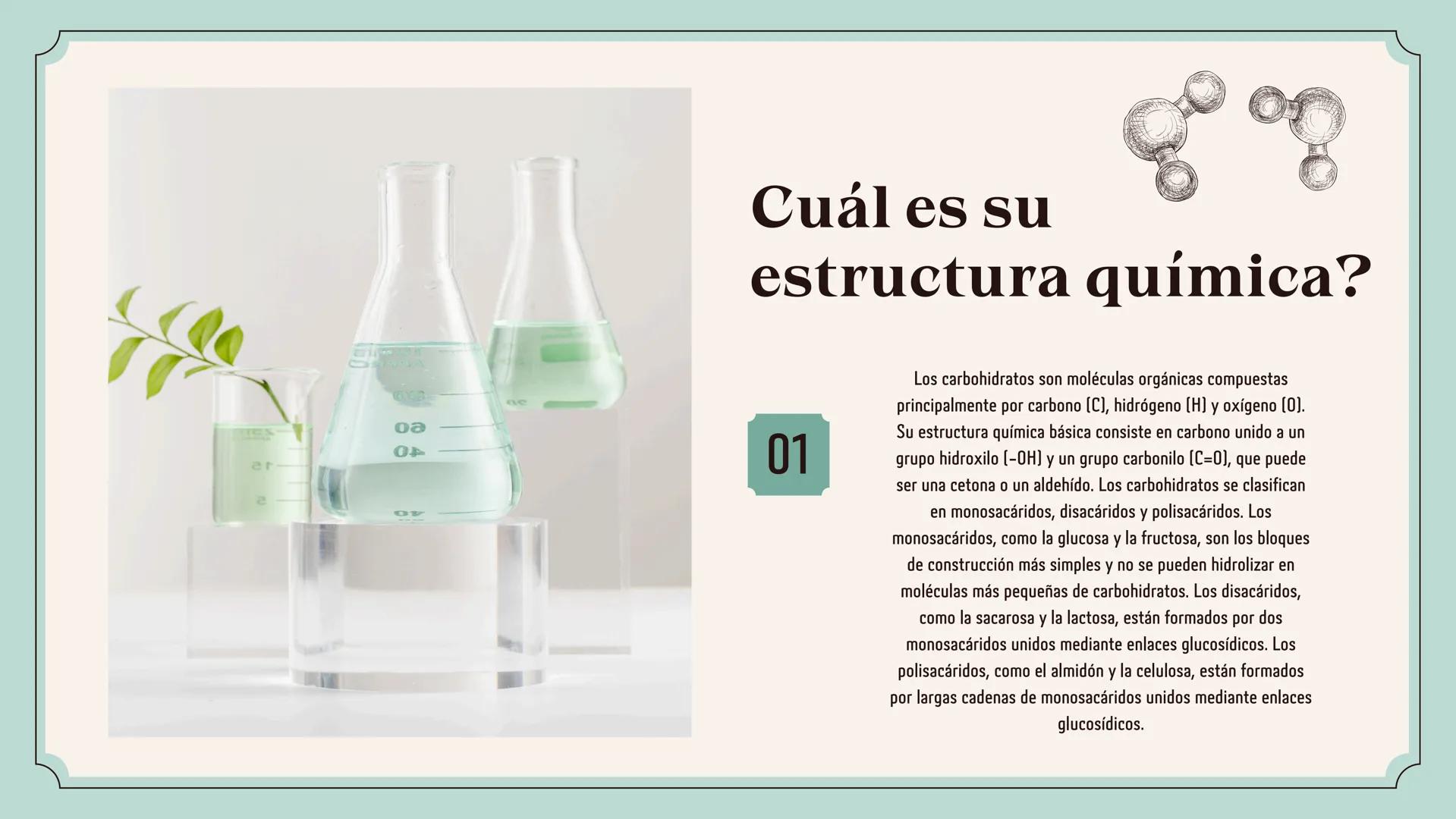 # Química Orgánica
# CARBOHIDRATOS ## ¿Sabías que...?
Los carbohidratos juegan un papel central en el
metabolismo energético. De hecho, la