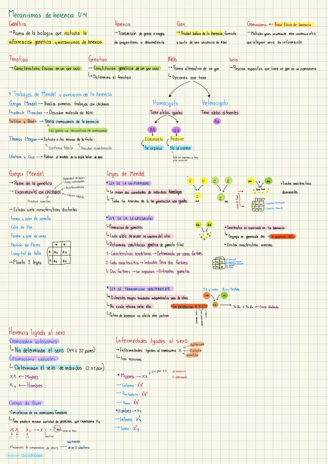Mecanismos de herencia 0.4
Genética
-Rama de la biologia que estudia la
información genética y mecanismos de herencia
Fenotipo
Cromosoma Bas