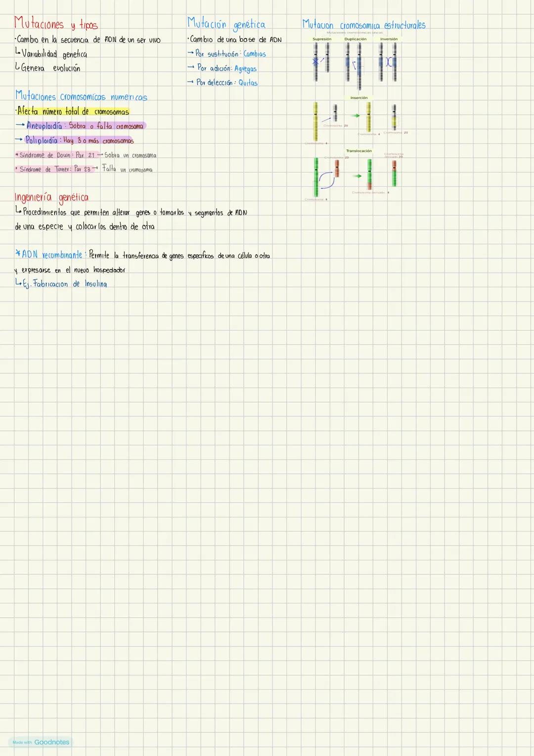 Mecanismos de herencia 0.4
Genética
-Rama de la biologia que estudia la
información genética y mecanismos de herencia
Fenotipo
Cromosoma Bas