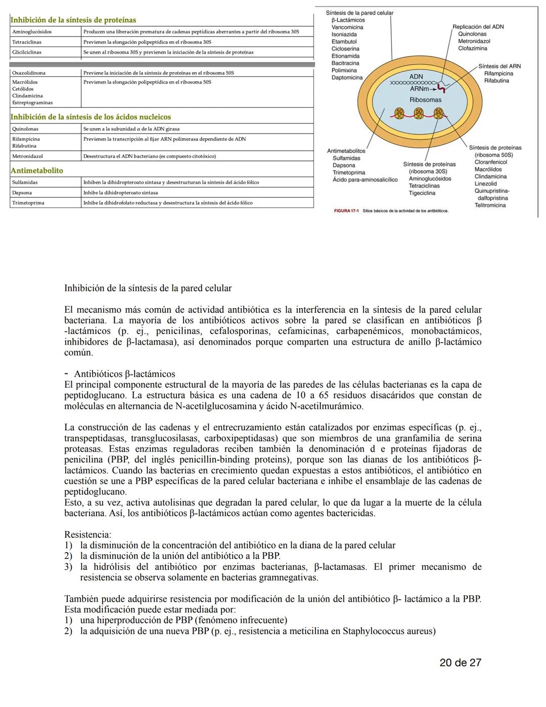 # MICROBIOLOGIA
Es una de las ramas que integran la biología y se enfoca en el estudio de los microorganismos. Se
dedica a su clasificación