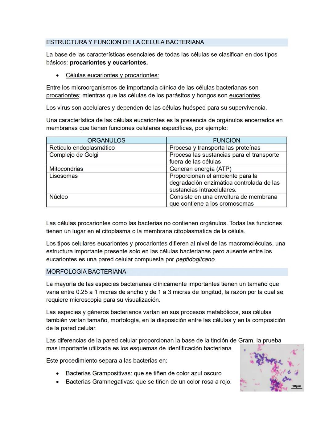 # MICROBIOLOGIA GENEREAL
## TAXONOMIA MICROBIANA
La taxonomía es un área de la ciencia biológica que comprende tres disciplinas que son: