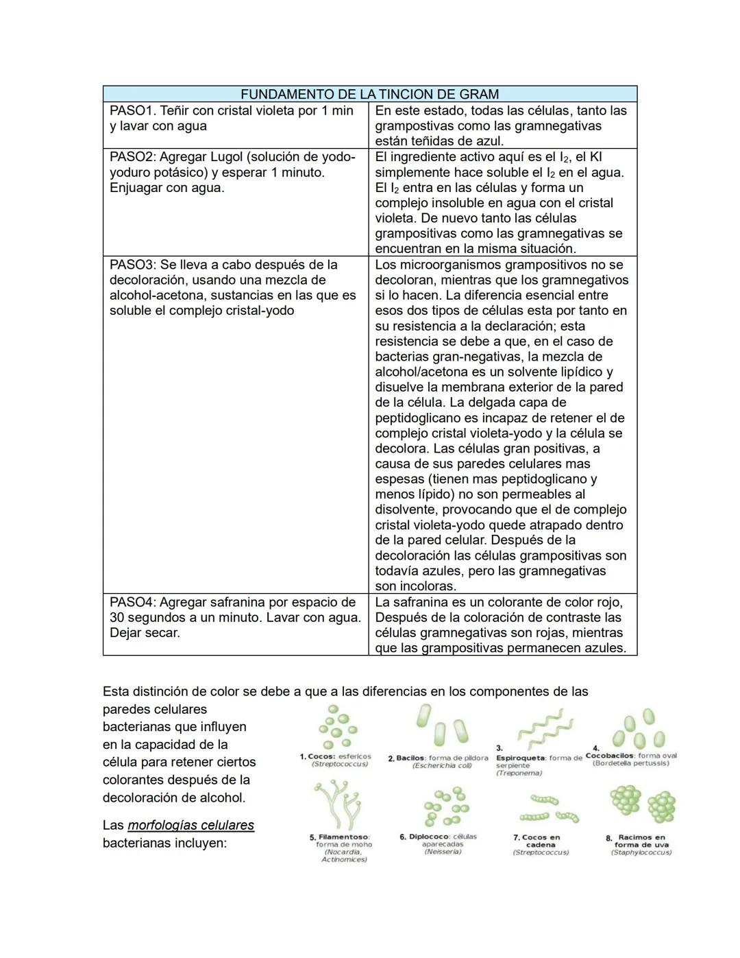 # MICROBIOLOGIA GENEREAL
## TAXONOMIA MICROBIANA
La taxonomía es un área de la ciencia biológica que comprende tres disciplinas que son: