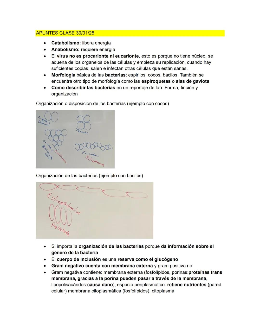 # MICROBIOLOGIA GENEREAL
## TAXONOMIA MICROBIANA
La taxonomía es un área de la ciencia biológica que comprende tres disciplinas que son: