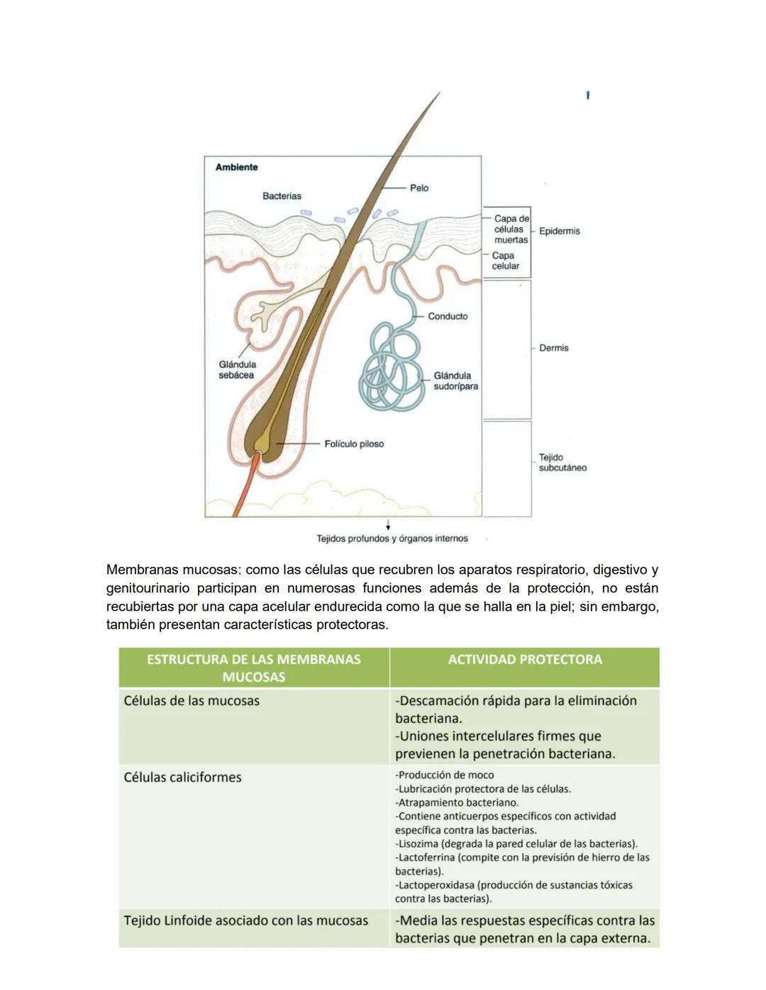 # MICROBIOLOGIA GENEREAL
## TAXONOMIA MICROBIANA
La taxonomía es un área de la ciencia biológica que comprende tres disciplinas que son: