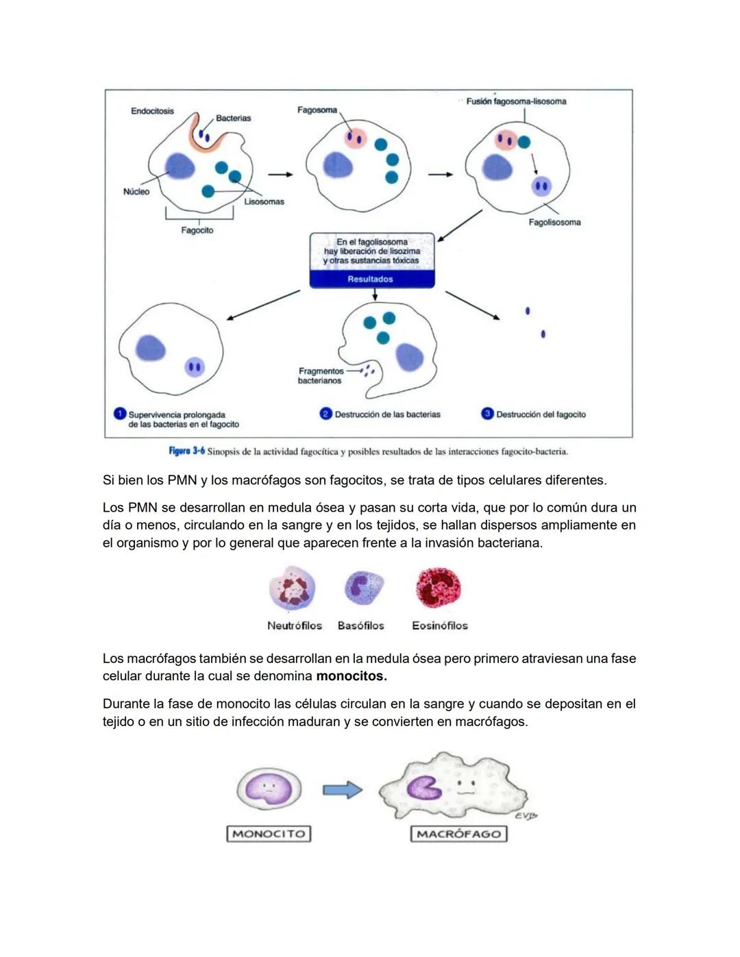 # MICROBIOLOGIA GENEREAL
## TAXONOMIA MICROBIANA
La taxonomía es un área de la ciencia biológica que comprende tres disciplinas que son: