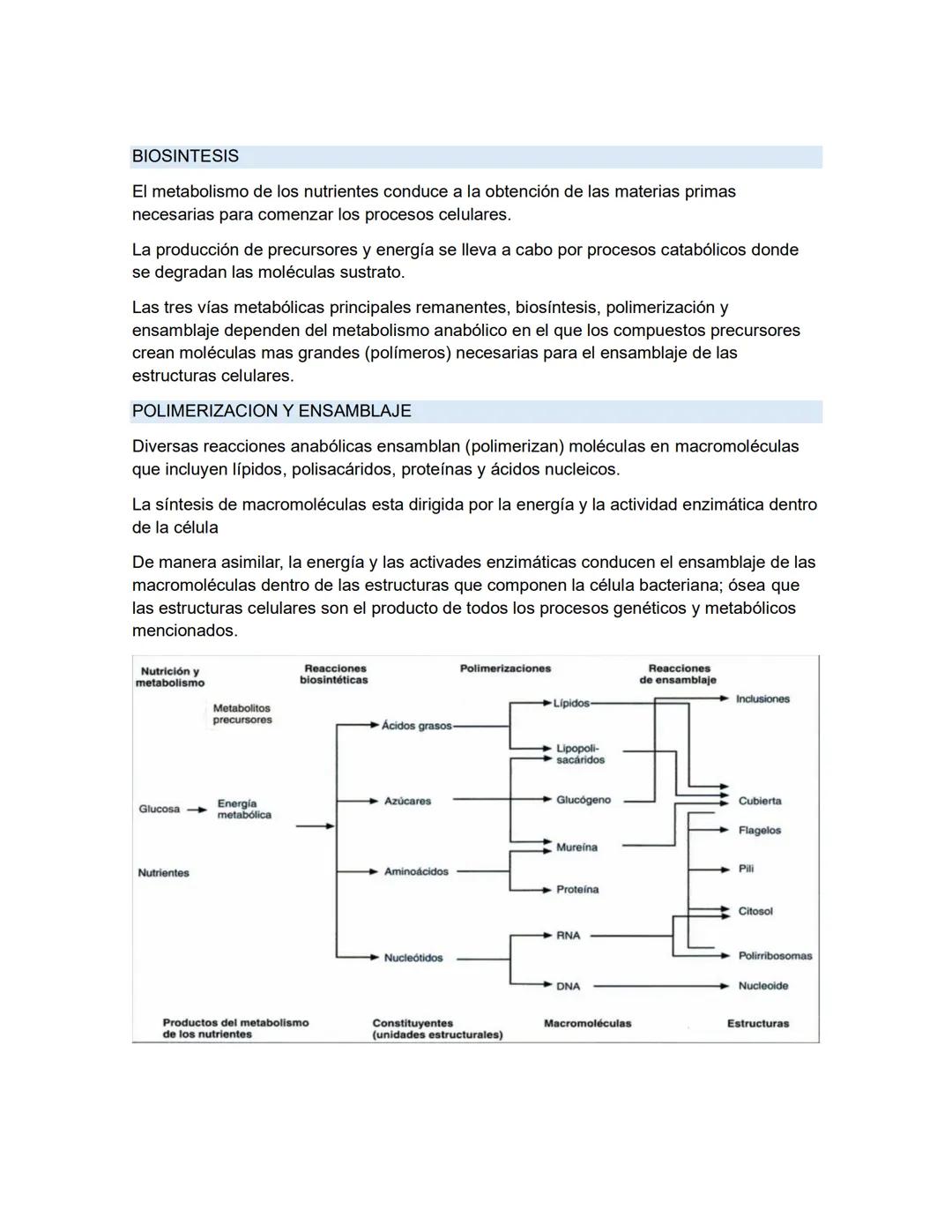 # MICROBIOLOGIA GENEREAL
## TAXONOMIA MICROBIANA
La taxonomía es un área de la ciencia biológica que comprende tres disciplinas que son: