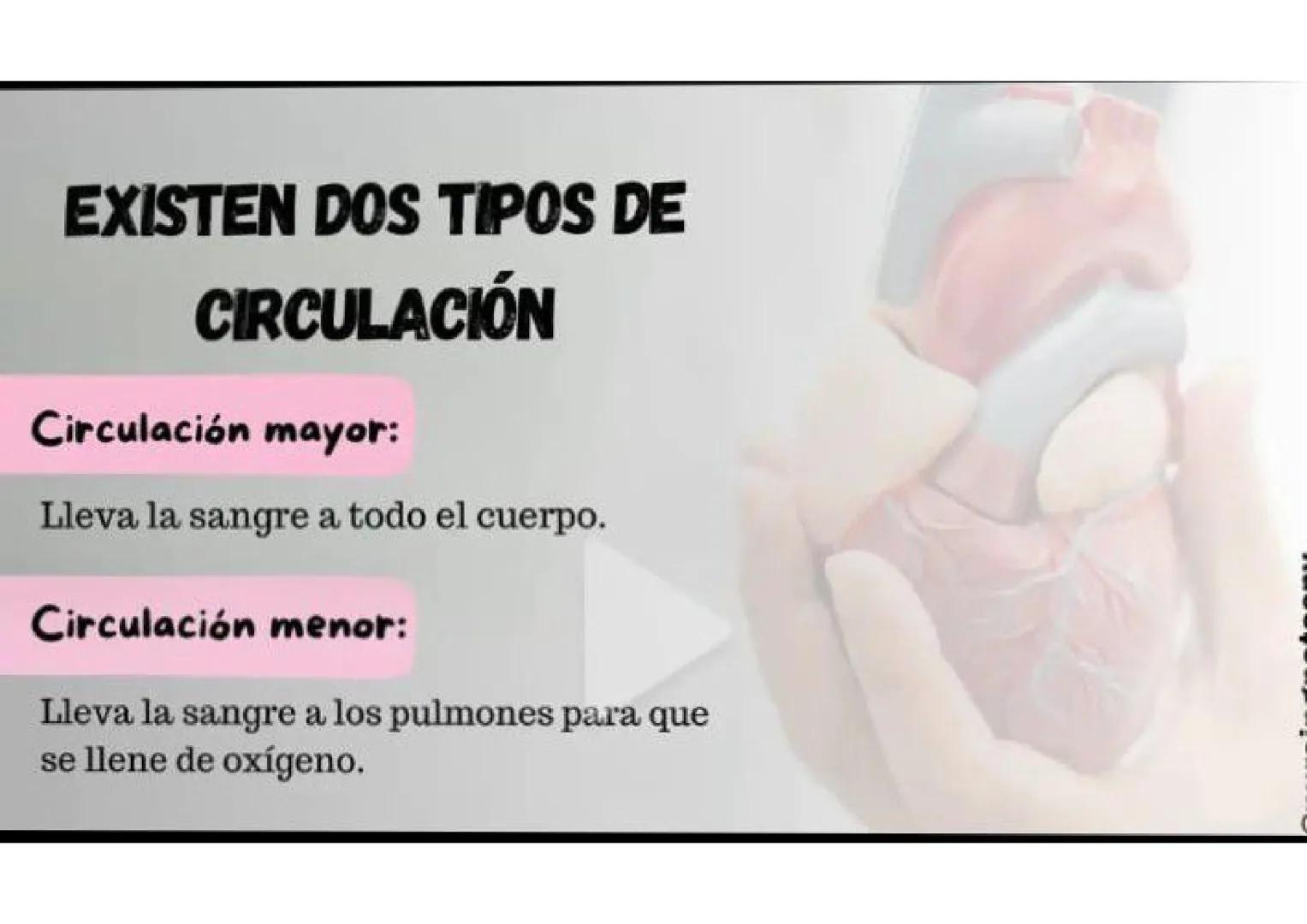 ENFERMERÍA
@au.lizeth # EI CORAZÓN
EL CORAZÓN ES UN ÓRGANO DEL TAMAÑO APROXIMADO DE
UN PUÑO.
ESTÁ COMPUESTO DE TEJIDO MUSCULAR Y BOMBEA
SA