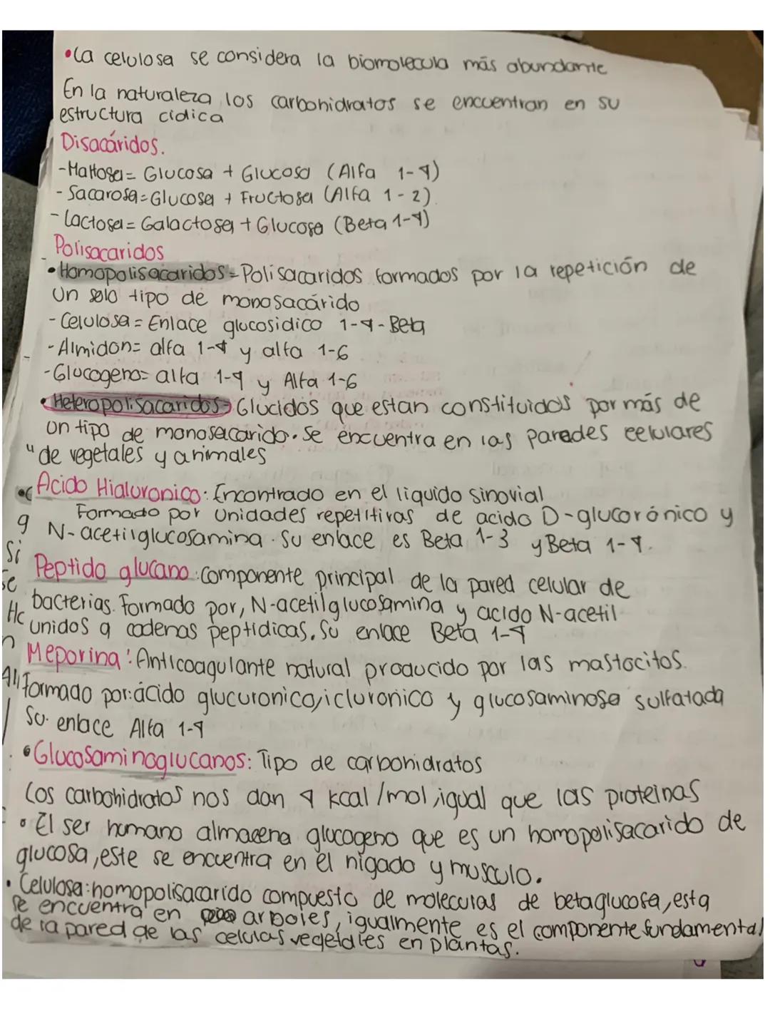 Carbohidratos
Macromoleculas de alto peso molecular formados por unidades
estructurales llamaolos glucidos y unidos por enlaces glucosidos