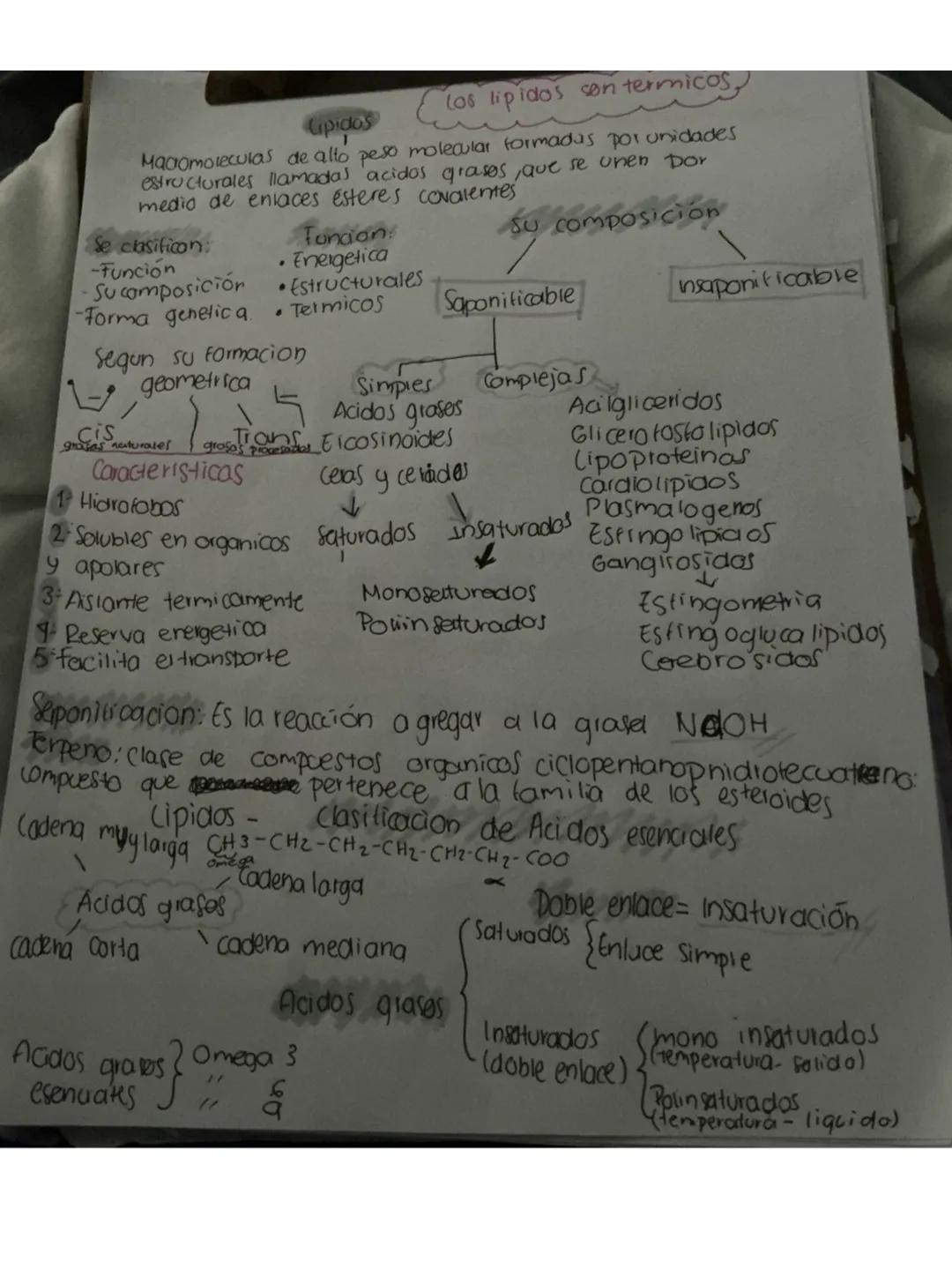 Carbohidratos
Macromoleculas de alto peso molecular formados por unidades
estructurales llamaolos glucidos y unidos por enlaces glucosidos
