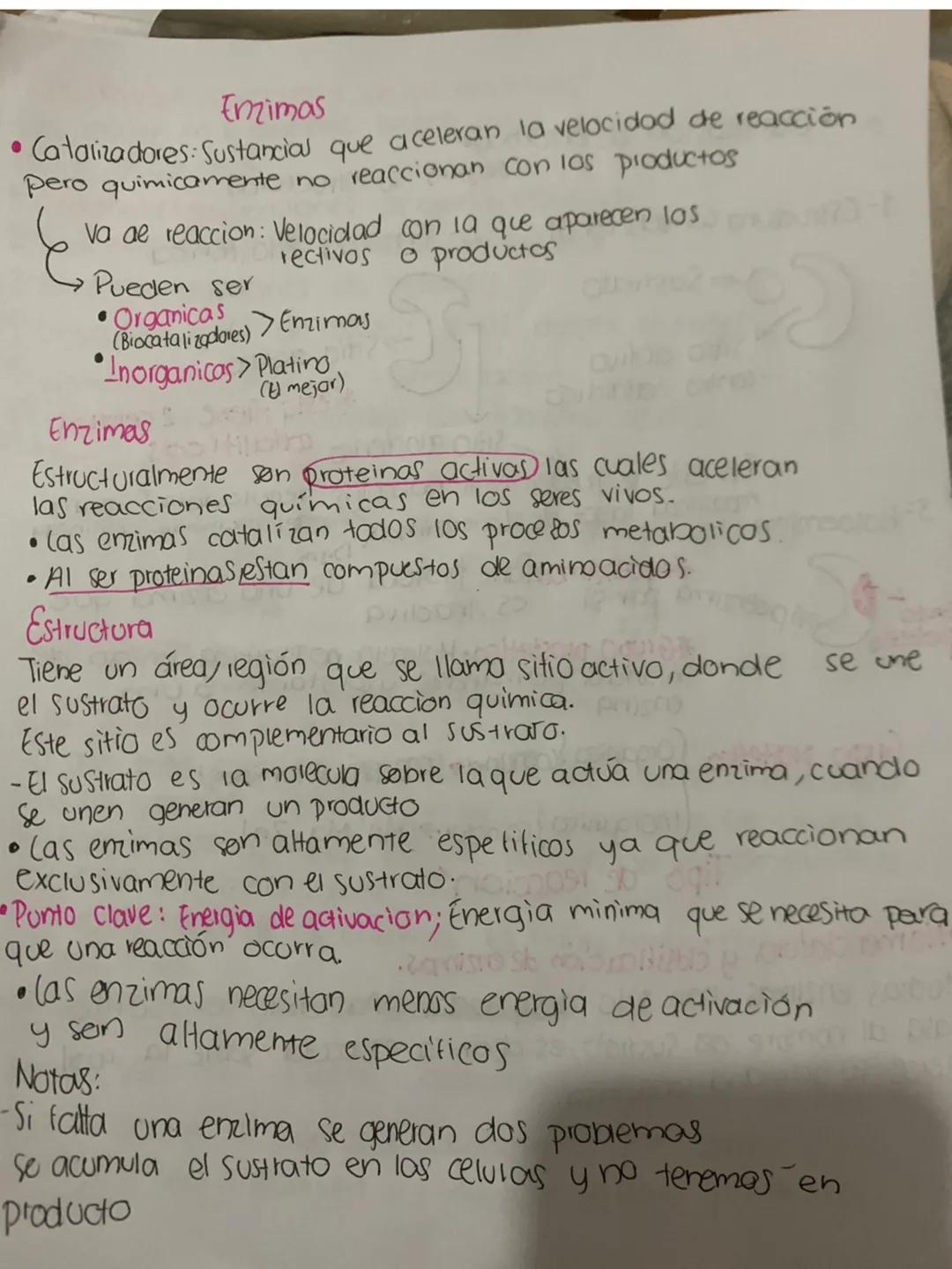 Carbohidratos
Macromoleculas de alto peso molecular formados por unidades
estructurales llamaolos glucidos y unidos por enlaces glucosidos