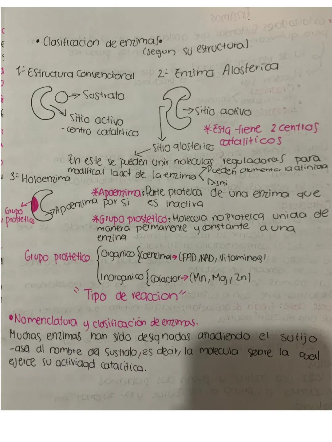 Carbohidratos
Macromoleculas de alto peso molecular formados por unidades
estructurales llamaolos glucidos y unidos por enlaces glucosidos
