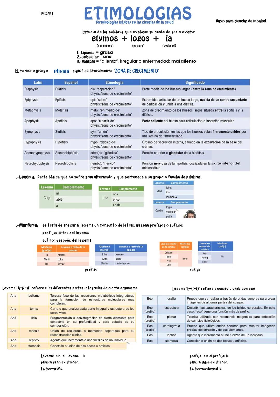 Etimologias básicas 1 y 2