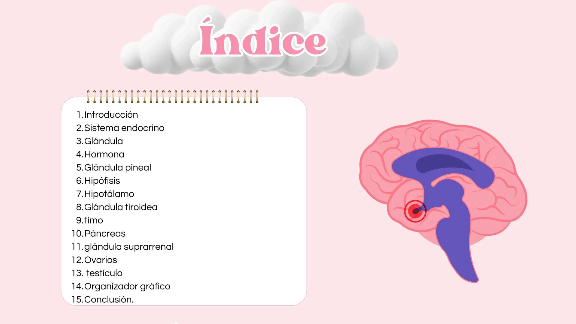 # Sistema
# ENDOCRINO
"La fábrica de las hormonas" 1. Introducción
2. Sistema endocrino
3. Glándula
4. Hormona
5. Glándula pineal
6. Hipóf