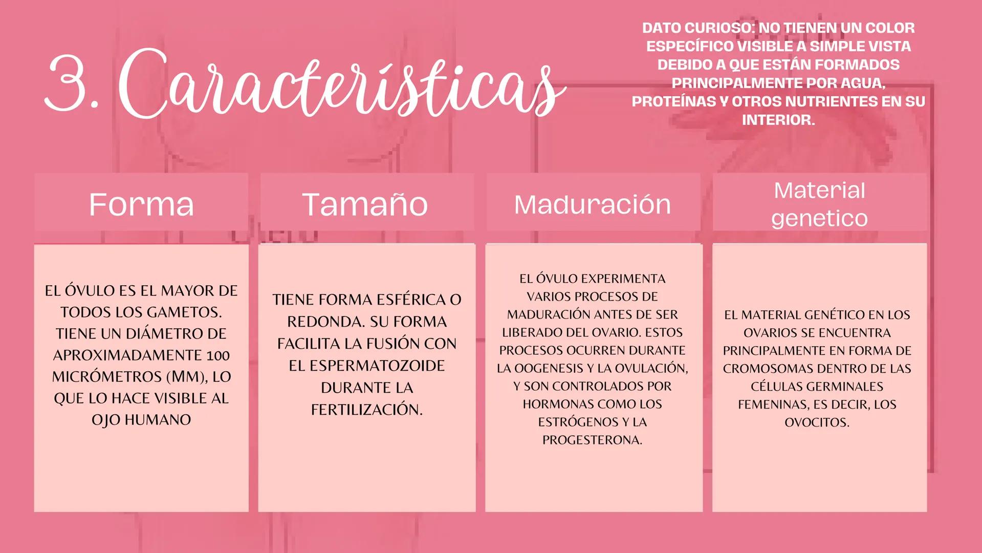 # Sistema
# ENDOCRINO
"La fábrica de las hormonas" 1. Introducción
2. Sistema endocrino
3. Glándula
4. Hormona
5. Glándula pineal
6. Hipóf