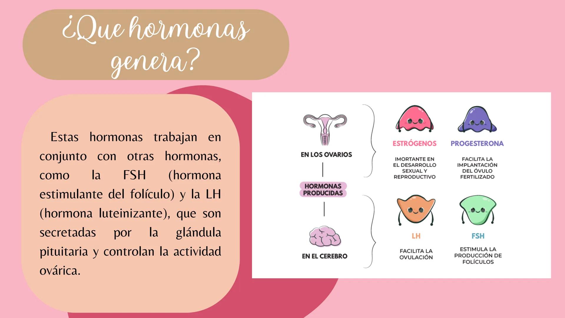 # Sistema
# ENDOCRINO
"La fábrica de las hormonas" 1. Introducción
2. Sistema endocrino
3. Glándula
4. Hormona
5. Glándula pineal
6. Hipóf