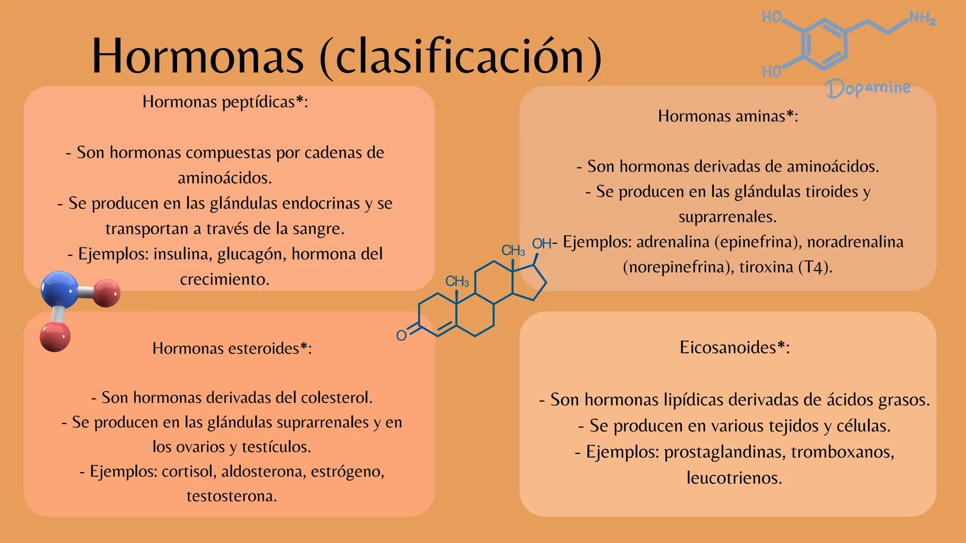 # Sistema
# ENDOCRINO
"La fábrica de las hormonas" 1. Introducción
2. Sistema endocrino
3. Glándula
4. Hormona
5. Glándula pineal
6. Hipóf