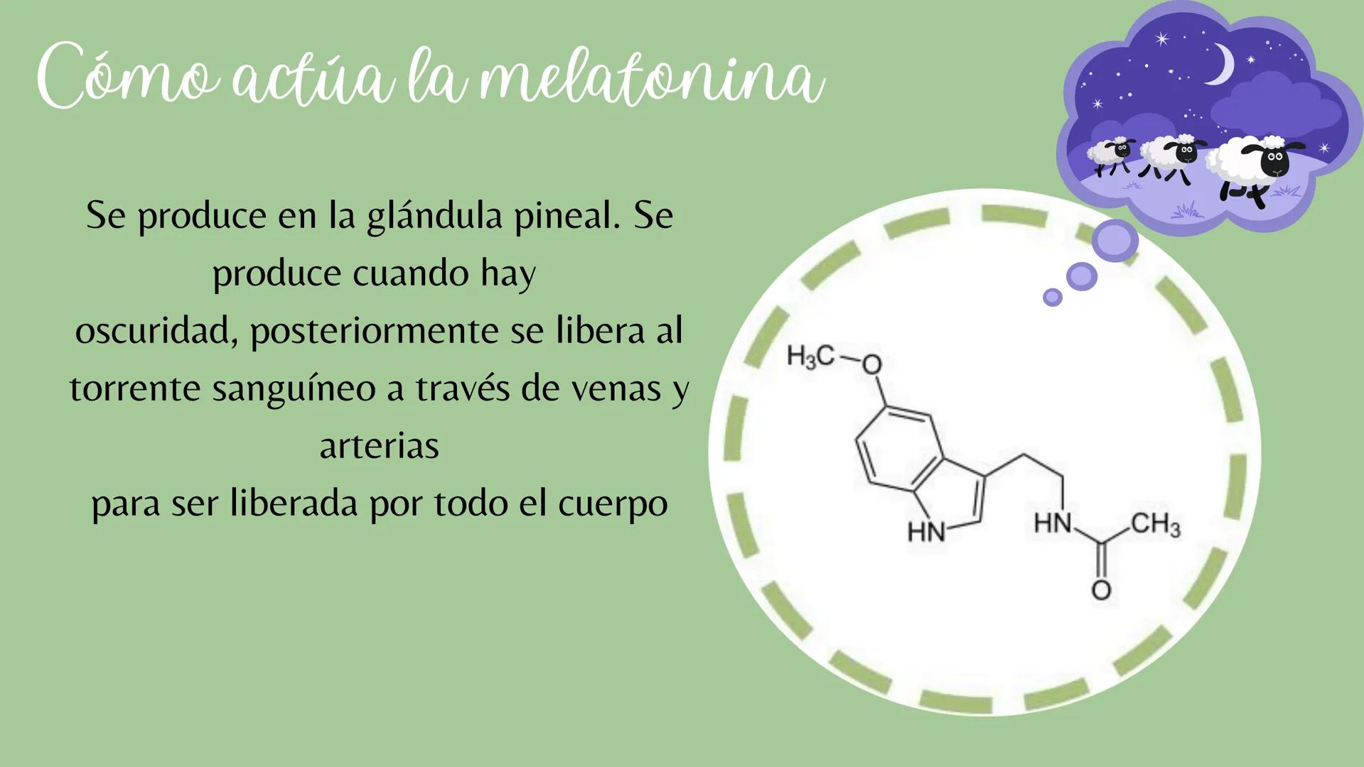 # Sistema
# ENDOCRINO
"La fábrica de las hormonas" 1. Introducción
2. Sistema endocrino
3. Glándula
4. Hormona
5. Glándula pineal
6. Hipóf