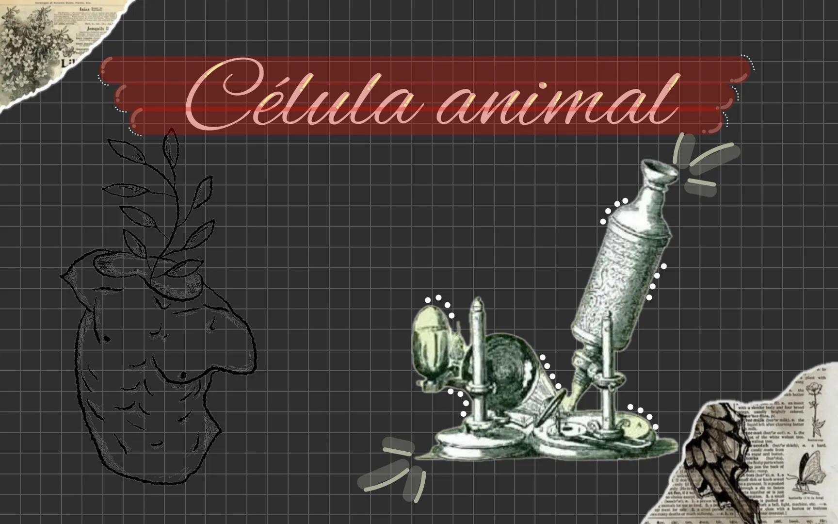 # Célula animal Descubrimiento de la
célula animal El descubrimiento de la
célula animal es un hito
importante en la historia de
La biología