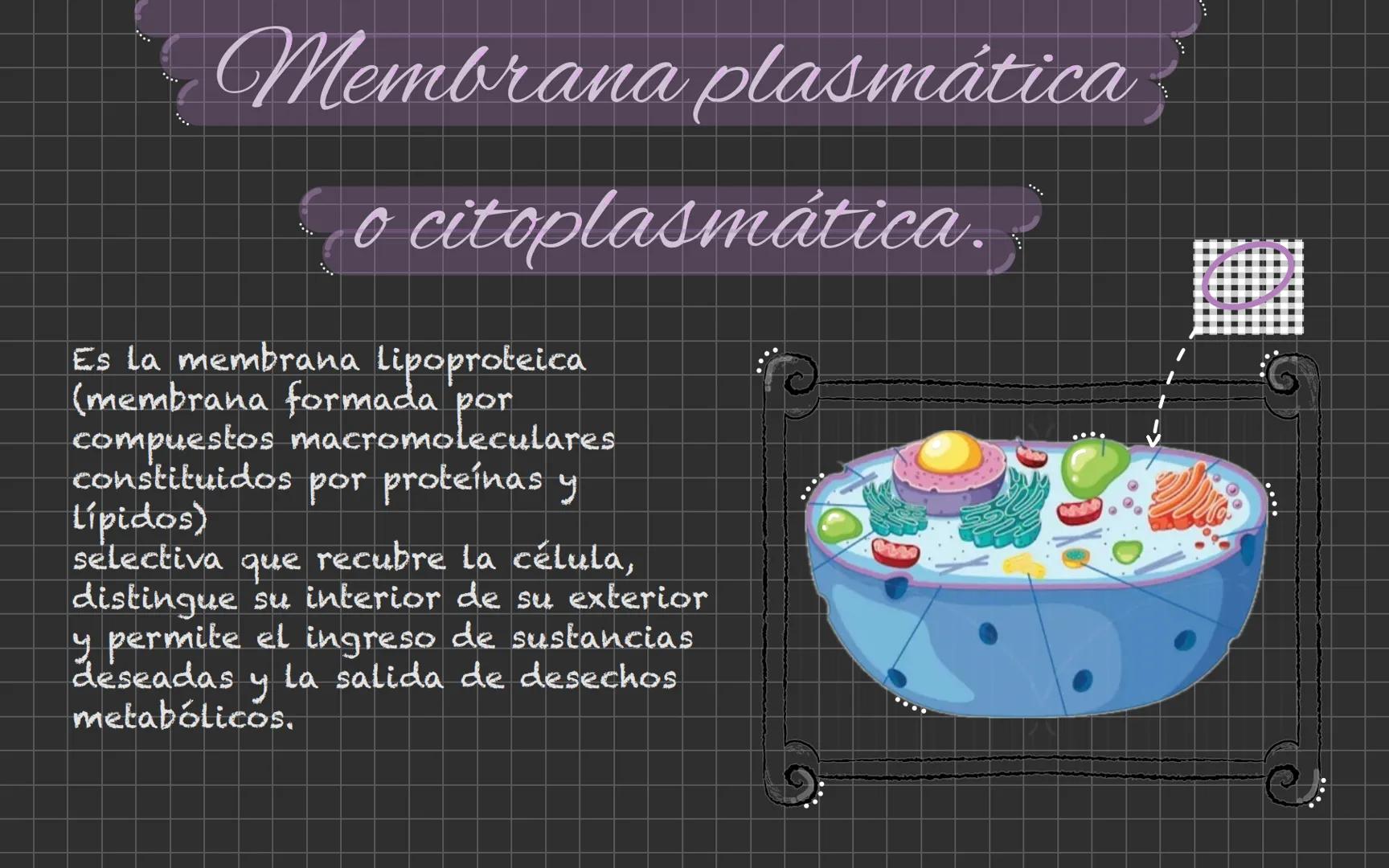 # Célula animal Descubrimiento de la
célula animal El descubrimiento de la
célula animal es un hito
importante en la historia de
La biología