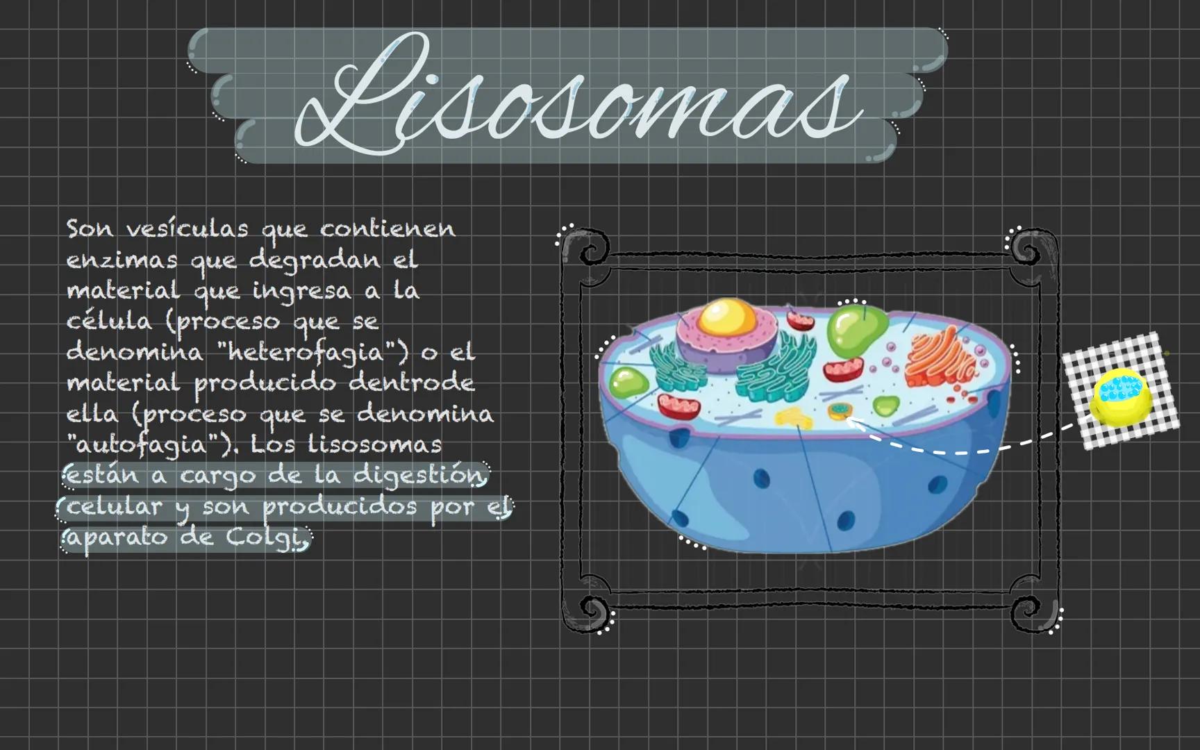 # Célula animal Descubrimiento de la
célula animal El descubrimiento de la
célula animal es un hito
importante en la historia de
La biología
