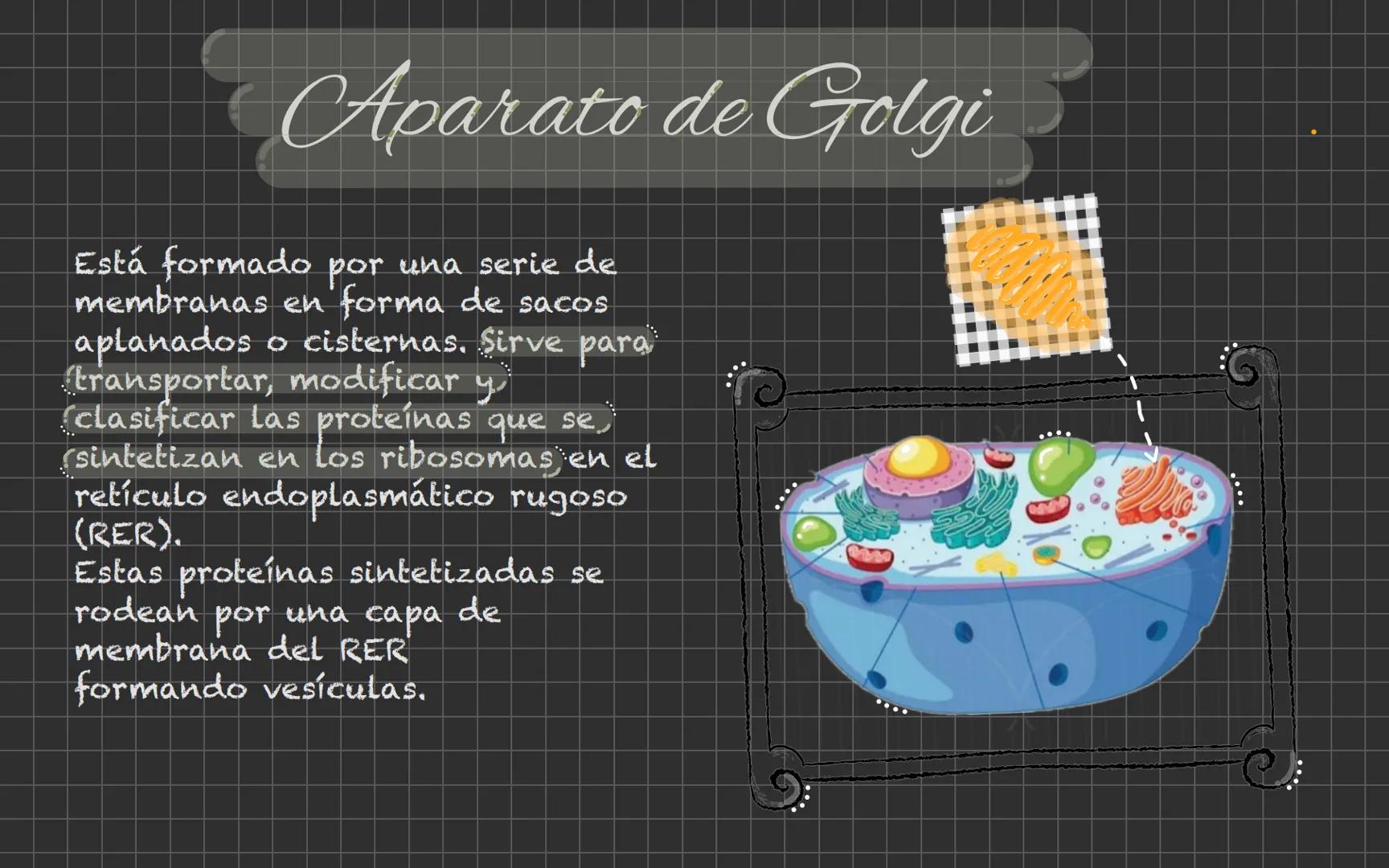 # Célula animal Descubrimiento de la
célula animal El descubrimiento de la
célula animal es un hito
importante en la historia de
La biología