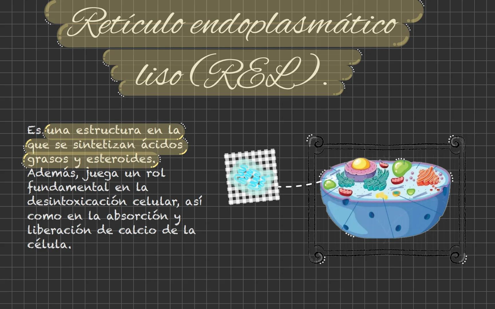 # Célula animal Descubrimiento de la
célula animal El descubrimiento de la
célula animal es un hito
importante en la historia de
La biología