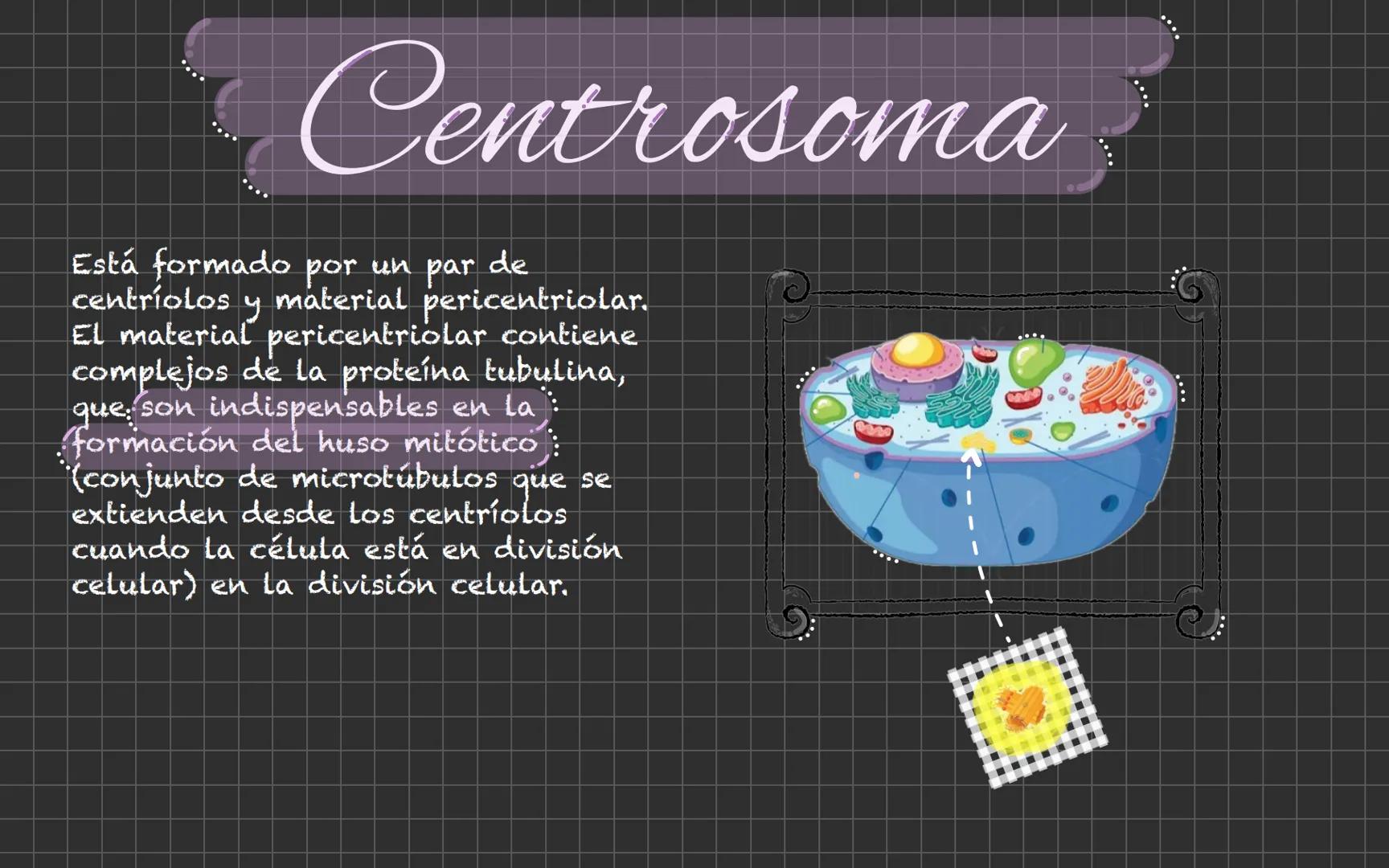 # Célula animal Descubrimiento de la
célula animal El descubrimiento de la
célula animal es un hito
importante en la historia de
La biología