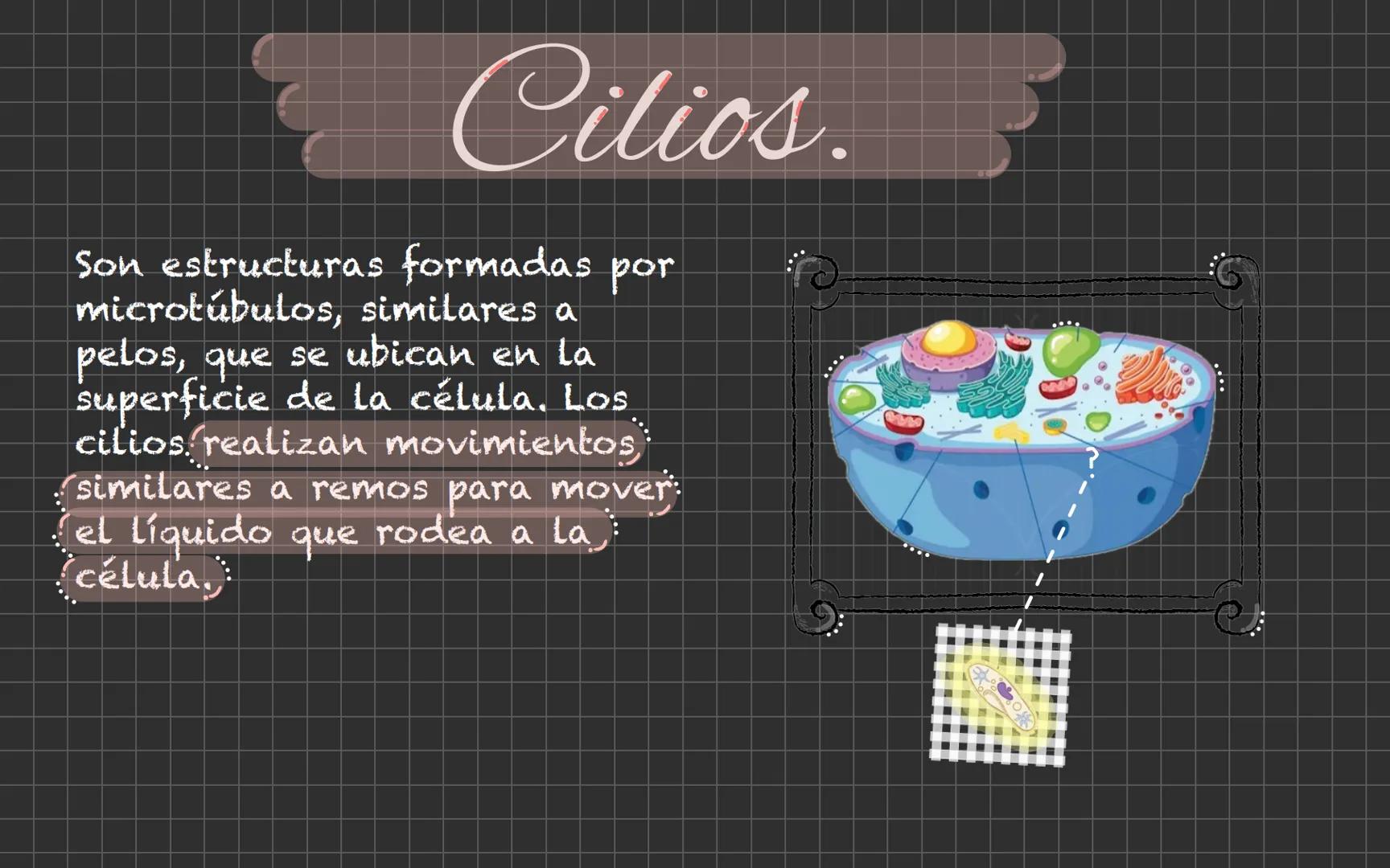 # Célula animal Descubrimiento de la
célula animal El descubrimiento de la
célula animal es un hito
importante en la historia de
La biología