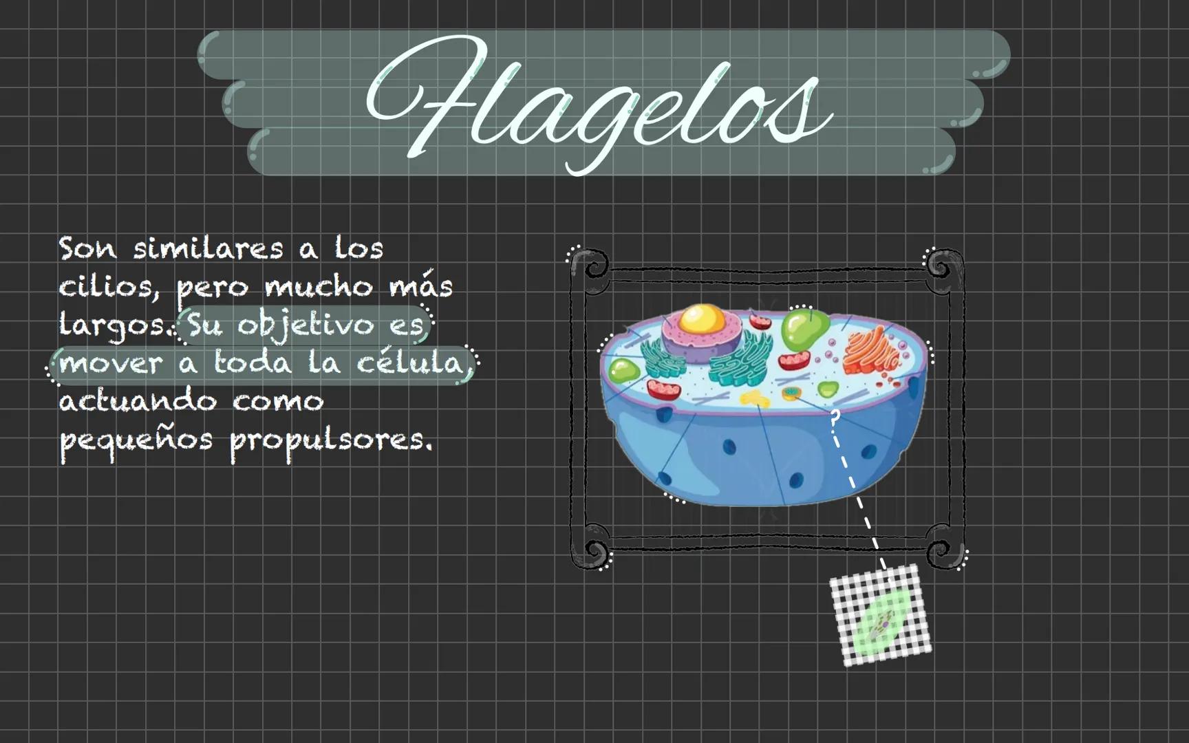 # Célula animal Descubrimiento de la
célula animal El descubrimiento de la
célula animal es un hito
importante en la historia de
La biología