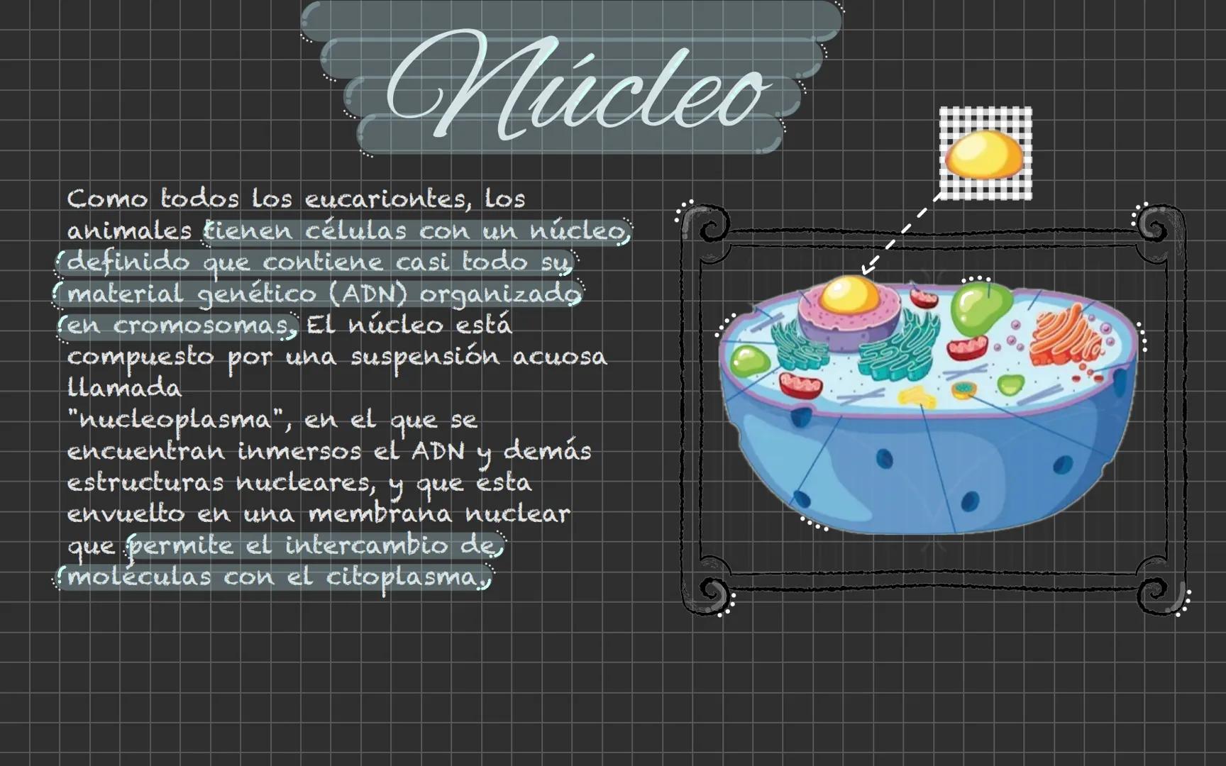 # Célula animal Descubrimiento de la
célula animal El descubrimiento de la
célula animal es un hito
importante en la historia de
La biología