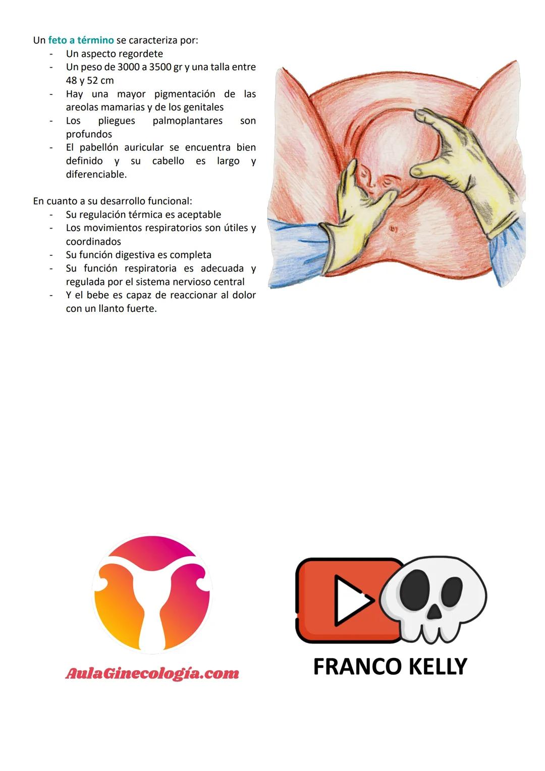 # Aula Ginecología.com
# INTRODUCCIÓN A LA EMBRIOLOGÍA
La Embriología es la ciencia que estudia todos los
cambios que ocurren en la formació