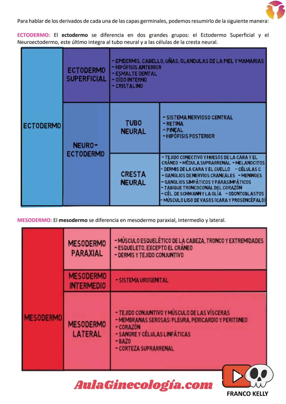 # Aula Ginecología.com
# INTRODUCCIÓN A LA EMBRIOLOGÍA
La Embriología es la ciencia que estudia todos los
cambios que ocurren en la formació