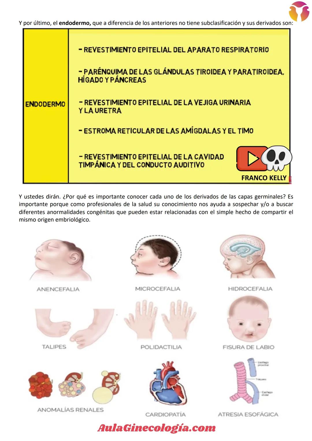 # Aula Ginecología.com
# INTRODUCCIÓN A LA EMBRIOLOGÍA
La Embriología es la ciencia que estudia todos los
cambios que ocurren en la formació