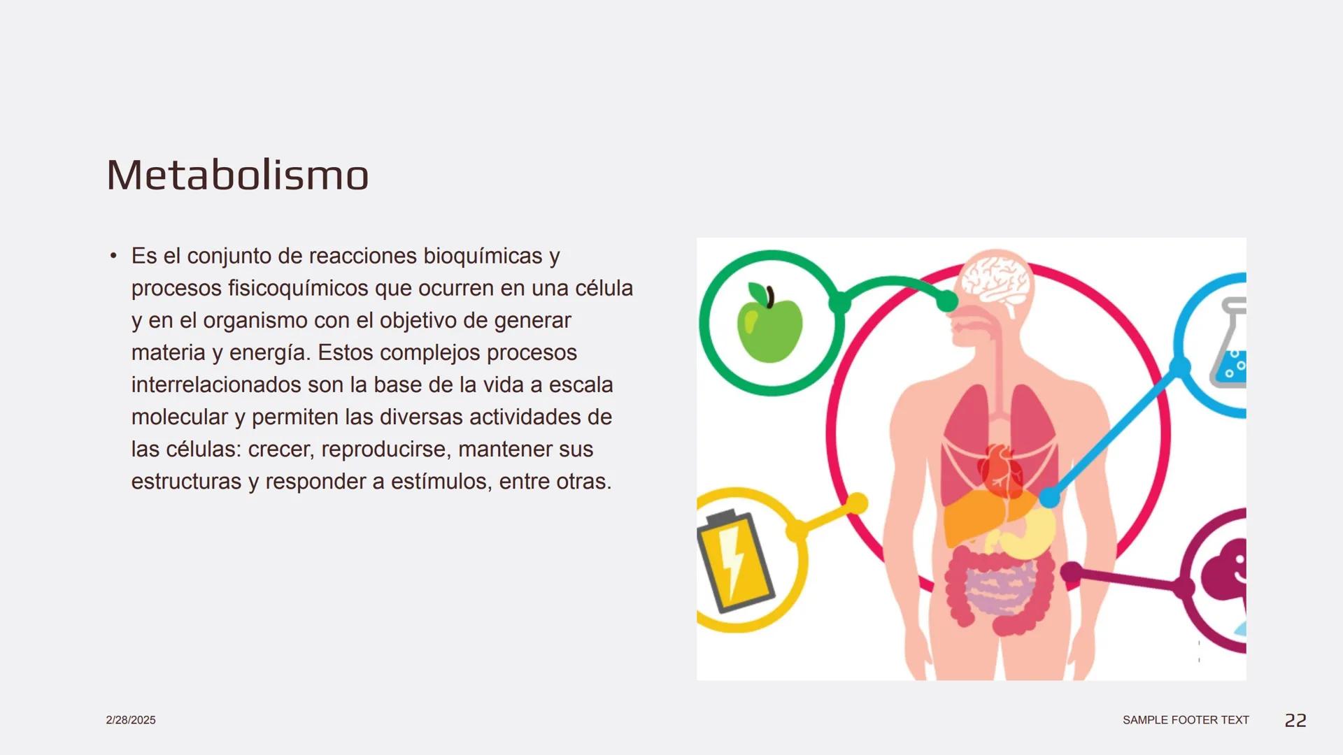 Física en terapia física --- OCR Start ---
Termodinámica
• La termodinámica es la rama de la física que
estudia las relaciones entre el calo