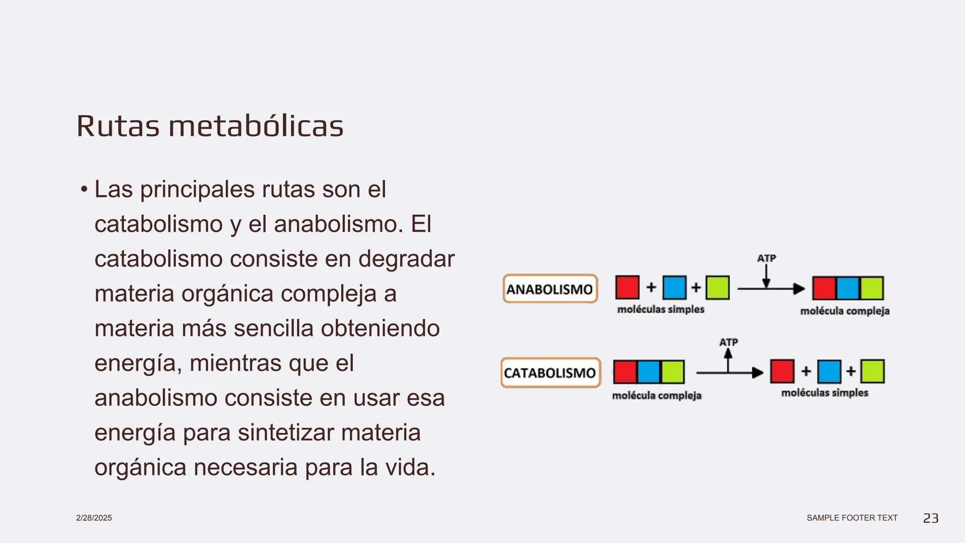 Física en terapia física --- OCR Start ---
Termodinámica
• La termodinámica es la rama de la física que
estudia las relaciones entre el calo