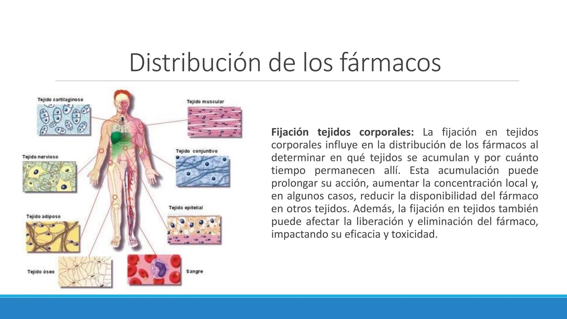 # Farmacocinética
FARMACOLOGÍA, NUTRICIÓN
DR. EN C. JORGE JUAN ALBERTO BACA ALONSO
0
JERSIDAD
autono
a
aguascalIENTES
ய
+1! # Farmacociné