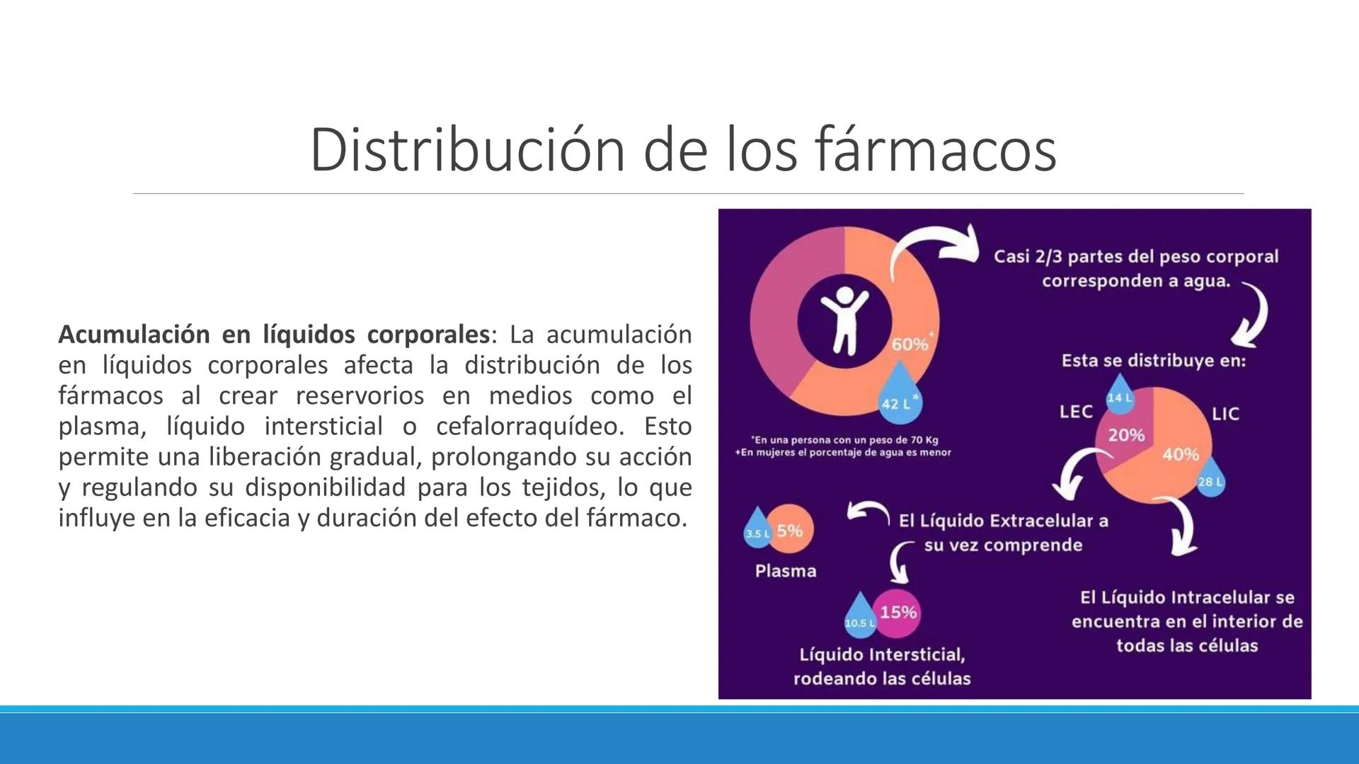 # Farmacocinética
FARMACOLOGÍA, NUTRICIÓN
DR. EN C. JORGE JUAN ALBERTO BACA ALONSO
0
JERSIDAD
autono
a
aguascalIENTES
ய
+1! # Farmacociné