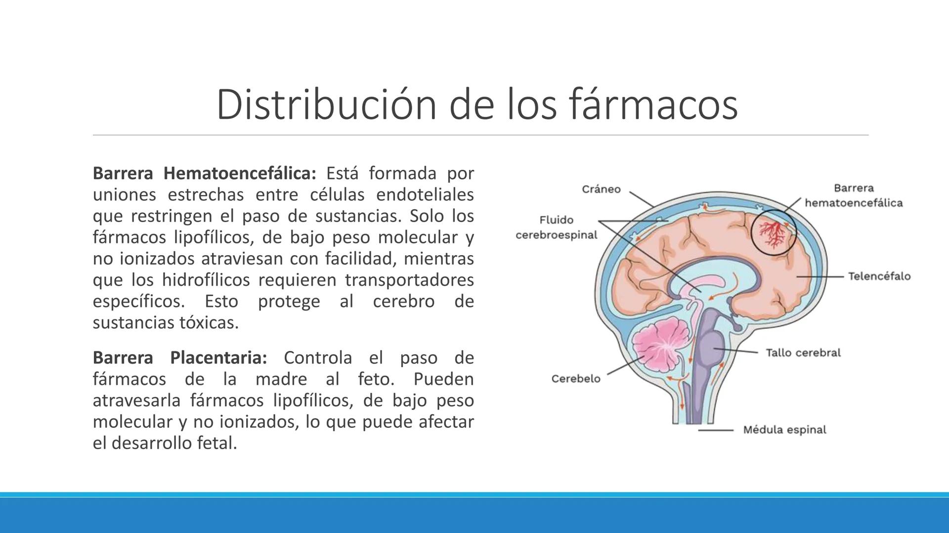 # Farmacocinética
FARMACOLOGÍA, NUTRICIÓN
DR. EN C. JORGE JUAN ALBERTO BACA ALONSO
0
JERSIDAD
autono
a
aguascalIENTES
ய
+1! # Farmacociné